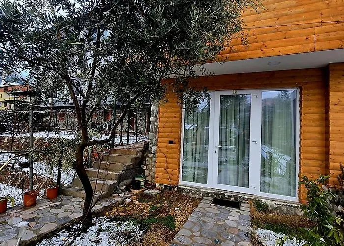 Home 12